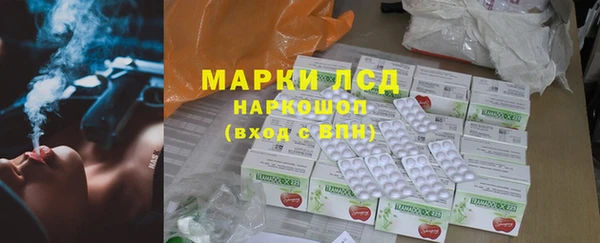 прущие грибы Ельня