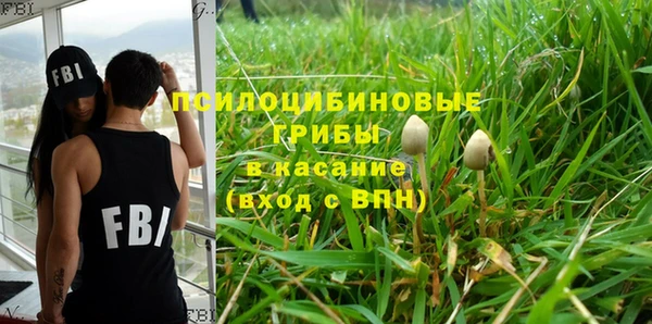 сатива Алексеевка