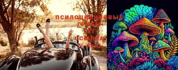 Альфа ПВП Алзамай