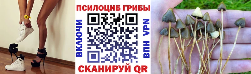 Псилоцибиновые грибы MAGIC MUSHROOMS  Медынь 