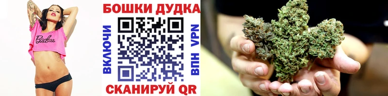 Каннабис сатива Медынь